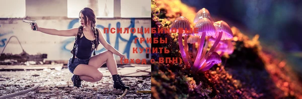 прущий лед Алексеевка