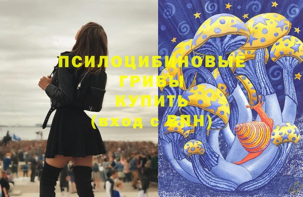 спиды Покровск