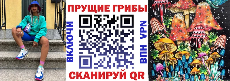 Псилоцибиновые грибы прущие грибы  маркетплейс Telegram  Мураши  блэк спрут ссылка 